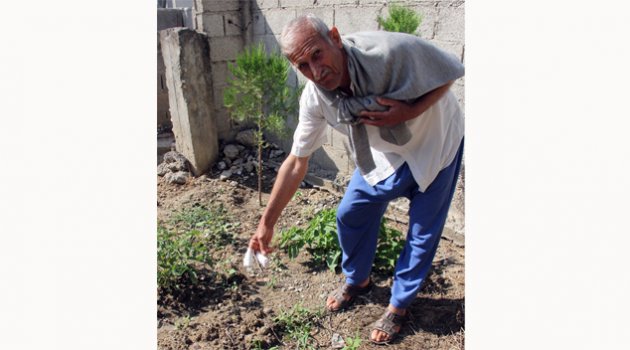 Köstebeği öldürmek isterken kendini vurdu