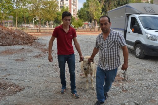 Kozan’da Kurban Kesim Kursu Açıldı