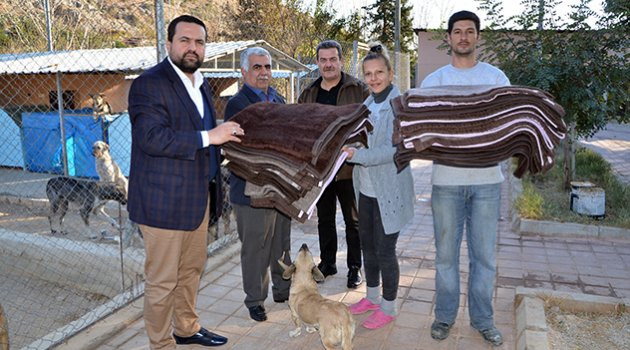 Kozan'da sokak hayvanları, hastane battaniyeleri ile ısınacak