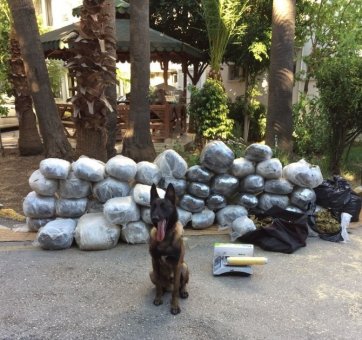 Kurban Bayramı’nda Uyuşturucu Tacirlerine Operasyon