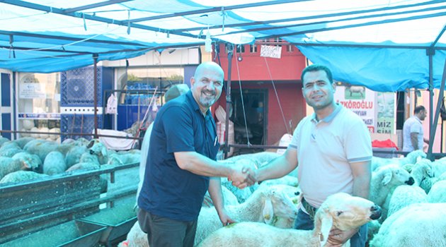 Kurbanlıklar el yakıyor