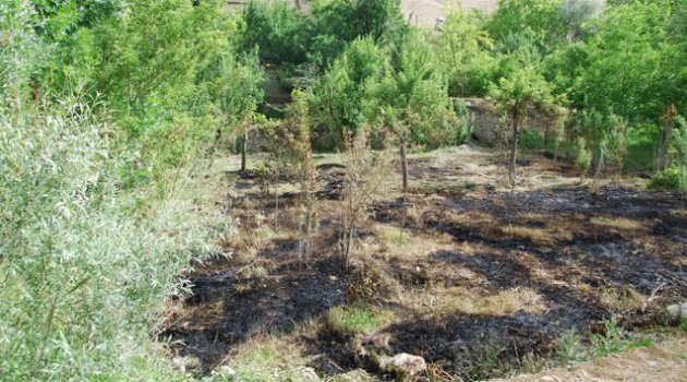 Kuru otları temizlemek isteyen yaşlı adam yanarak öldü