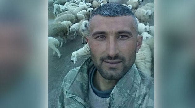 Kuzusunu kurtarmak isterken canından oldu