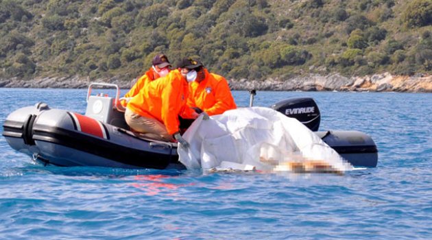 Mersin&#039;de dereye düştü, Fethiye&#039;de cesedi bulundu