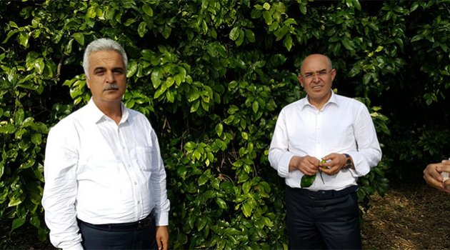 MHP’li Karakaya, üreticinin sorunlarını meclise taşıdı