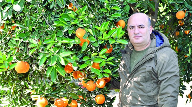 Narenciye üreticisi endişeli
