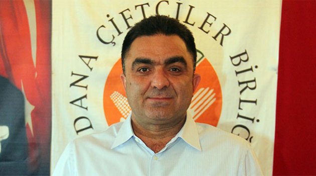Narenciyede hasat sancılı başladı