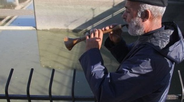 Nehirde Su Kesilince Binlerce Balık Telef Oldu