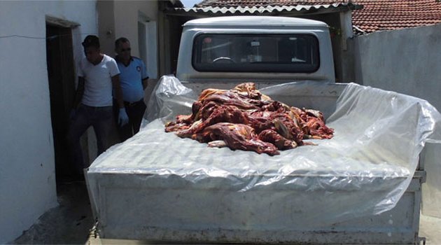 O ilde at eti operasyonu