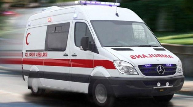 Öğrencilerin üzerine ağaç devrildi! 1 ölü 4 yaralı var