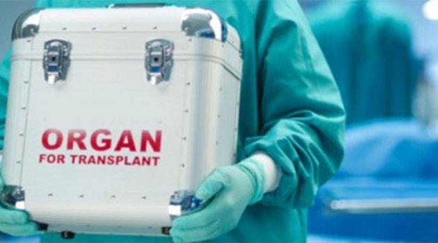 Organ taciri yakayı ele verdi