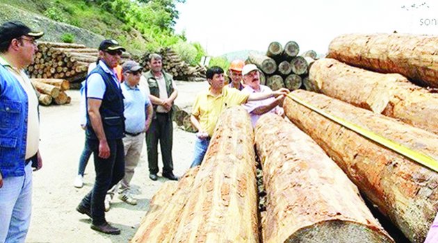 Orman Bölge Müdürlüğü üretim ve satış hedeflerini aştı