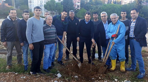 ‘Orman Dede’ 100 bin fidanı toprakla buluşturdu