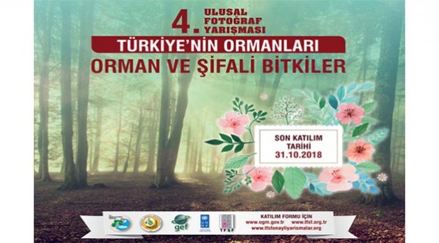 ‘Orman ve Şifalı Bitkiler’ fotoğraf yarışması başlıyor