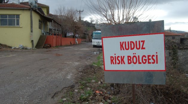 Osmaniye'de kuduz karantinası