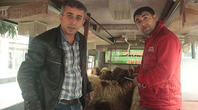Otobüste mobil kesimhane