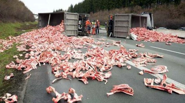 Otoyol mezbahaya döndü