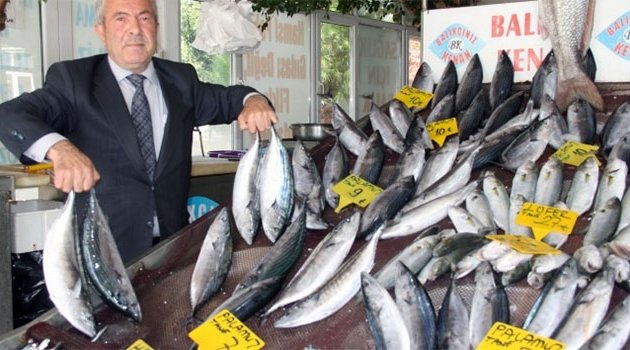 Palamut, Karadeniz'i terk edemeyince av sezonu uzadı