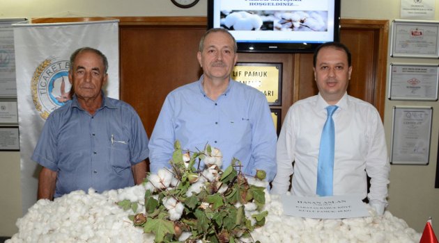 Pamukta üretim artışı zamma bağlı