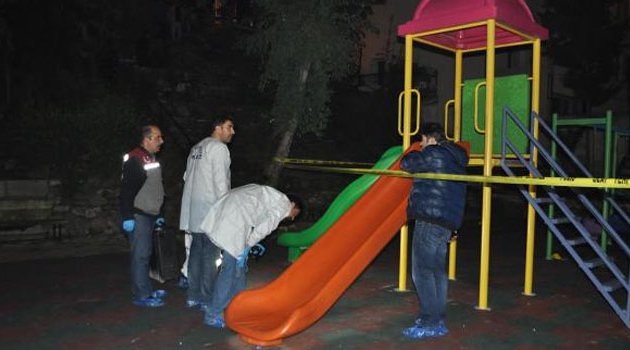 Park cinayeti sanığına 15 yıl hapis