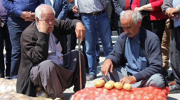 Patates elde, soğan tarlada kaldı