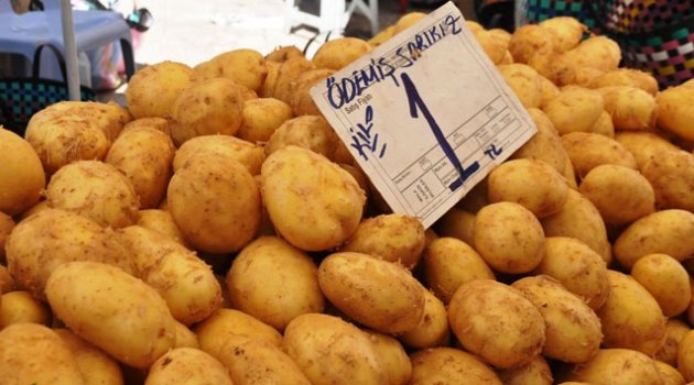 Patates fiyatları dibe vurdu, üretici isyanda