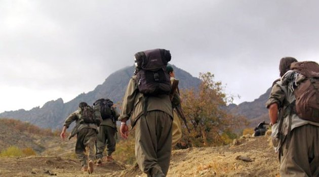 PKK'nın üst düzey yöneticisi öldürüldü