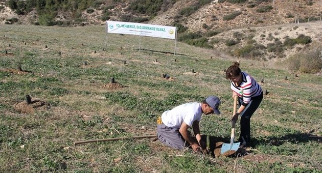 "Plaket hatıra ormanı", hediye fidanları bekliyor