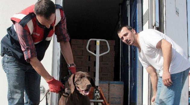 Polis-Jandarma İşbirliğiyle "Bomba" Uygulaması