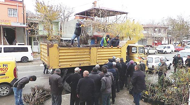 Pozantı’da köylüye 6 bin 500 adet ceviz fidanı