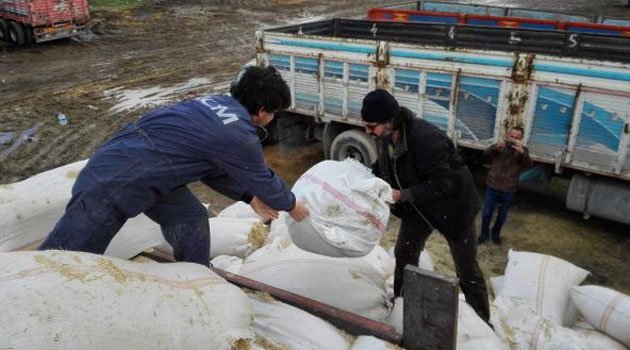 Saman çuvalları içinde 60 kilo esrar ele geçirdi