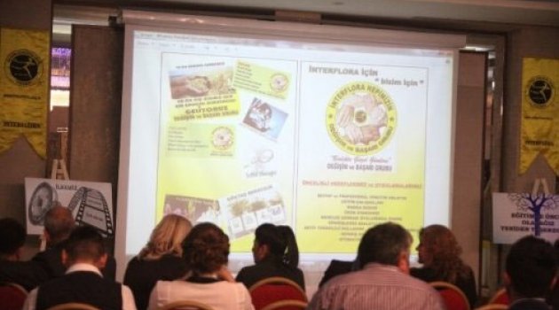 Şampiyon Çiçekçiler Interflora Yönetimine Talip