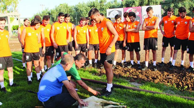 Şampiyonluğa kenetlendiler