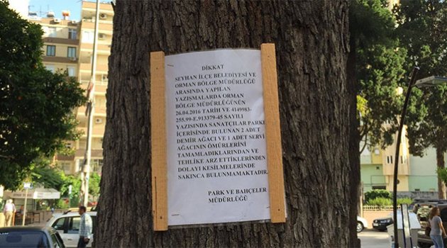 Sanatçılar Parkı’ndaki ağaçların kesilmemesi için imza kampanyası