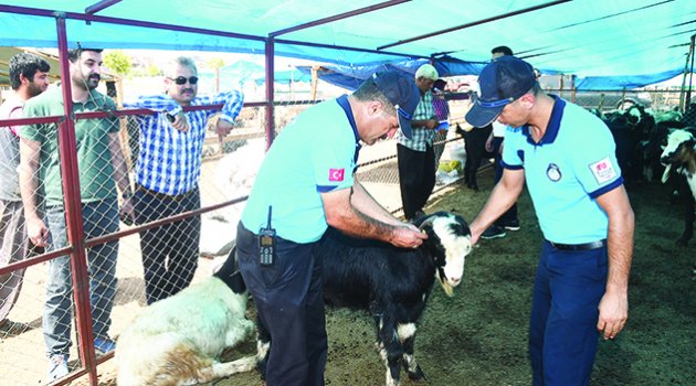 Sarıçam bayrama hazır