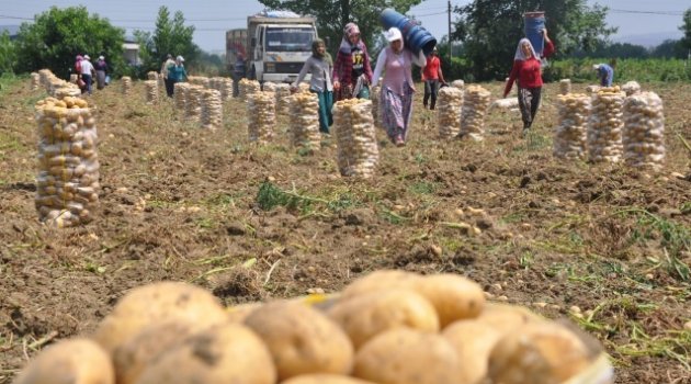 Satış fiyatı maliyetinin altında