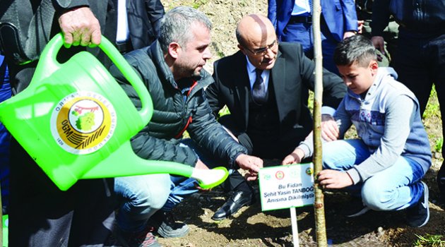 Şehitler anısına fidan dikildi