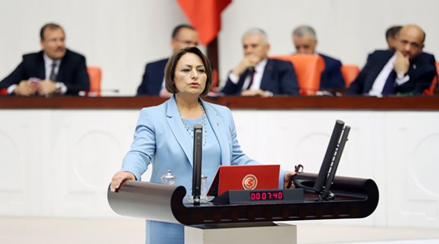 Şevkin: Ceyhan Enerji Bölgesi görmezden geliniyor
