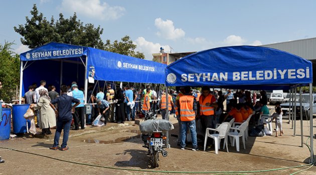 Seyhan Belediyesi, kurbanları ücretsiz kesecek