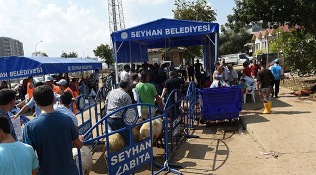 Seyhan Belediyesi, Kurbanları Ücretsiz Kesecek