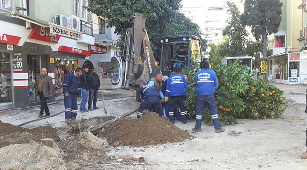 Seyhan Belediyesi’nin ağaç duyarlılığı