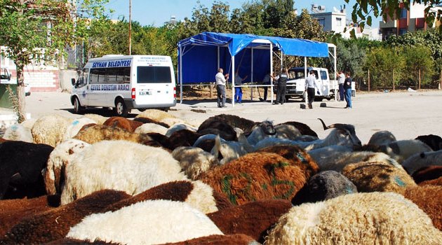 Seyhan’da kurban satış ve kesim yerleri belirlendi