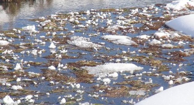 Sibirya soğukları devam ediyor: Ardahan eksi 25
