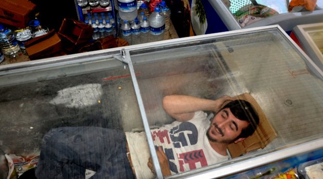 Sıcaktan bunalınca dondurma dolabına girdi