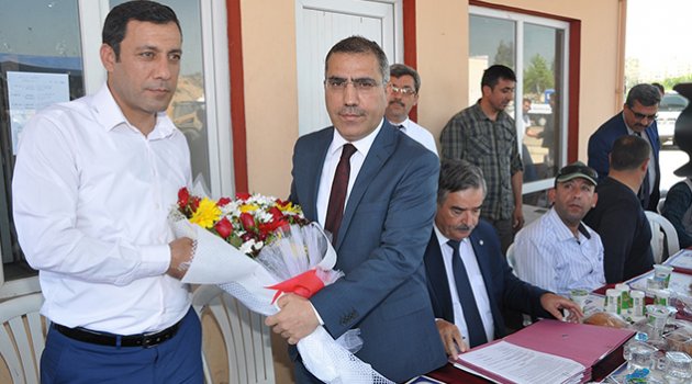 Sözleşme sevinci