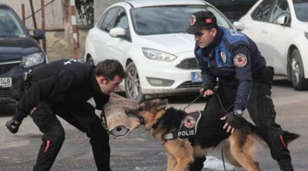 Suçluların Korkulu Rüyası "Leon"