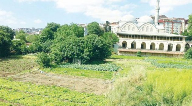 Tarihi bostan için karar