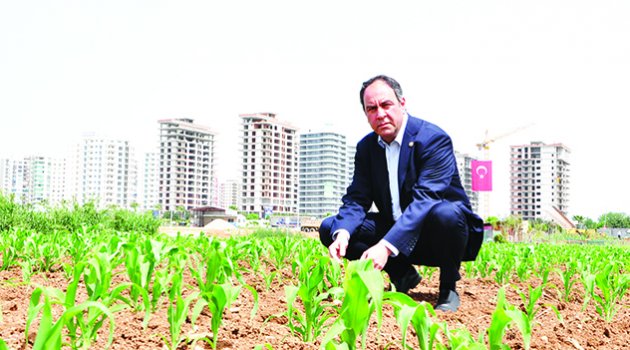 “Tarımın kalbine hançer saplanıyor”