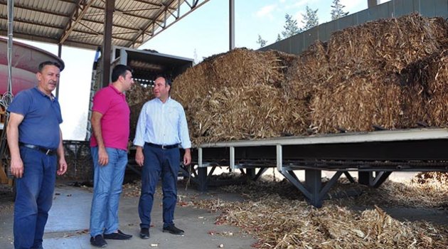 Tarımsal atıklar, enerjiye dönüşüyor