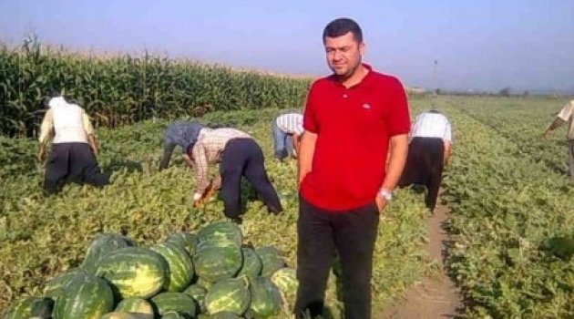 Tarlada 15 kuruş olan karpuzun fiyatı nakliyesini bile karşılamıyor